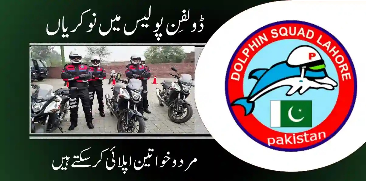 Dolphin Police Jobs 2024