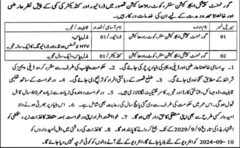 Punjab Special Education Department Jobs 2024