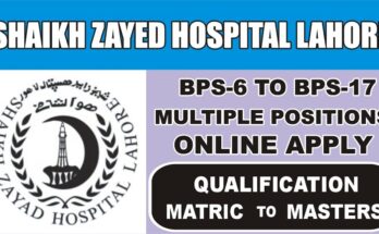 Shaikh Zayed Hospital Lahore Jobs 2024