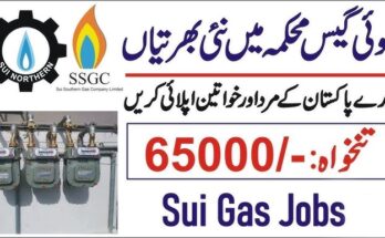 SSGC Latest Jobs 2024